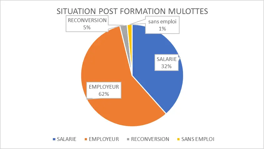 situation-professionnelle-post-formation-mulottes (1)